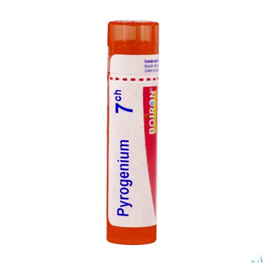 Pyrogenium 7CH Gr 4g  -  Boiron