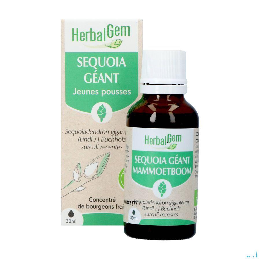 Herbalgem Sequoia Bio 30 ml