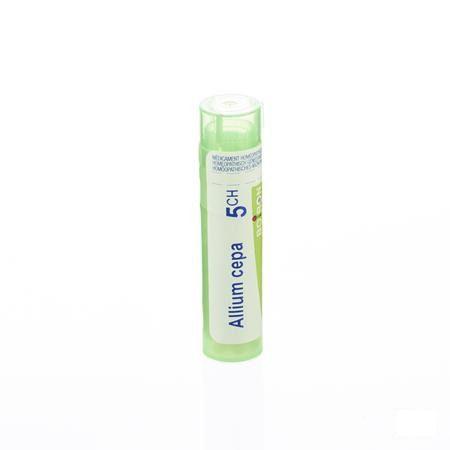 Allium Cepa 5CH Gr 4g  -  Boiron