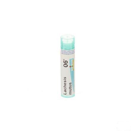 Lachesis Mutus 6k Gr 4g  -  Boiron