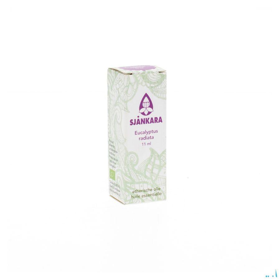 Sjankara Eucalyptus Radiata Bio Huile Essentielle 11 ml