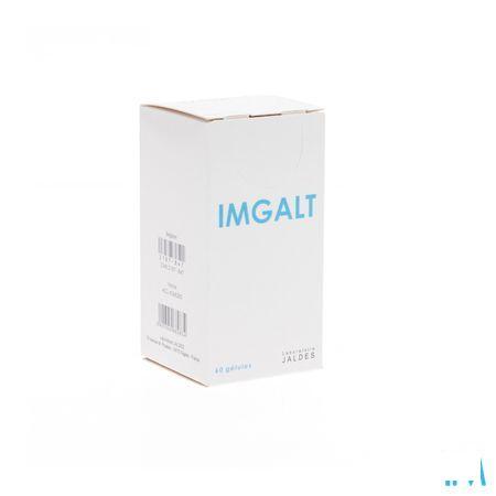 Imgalt Gel 60