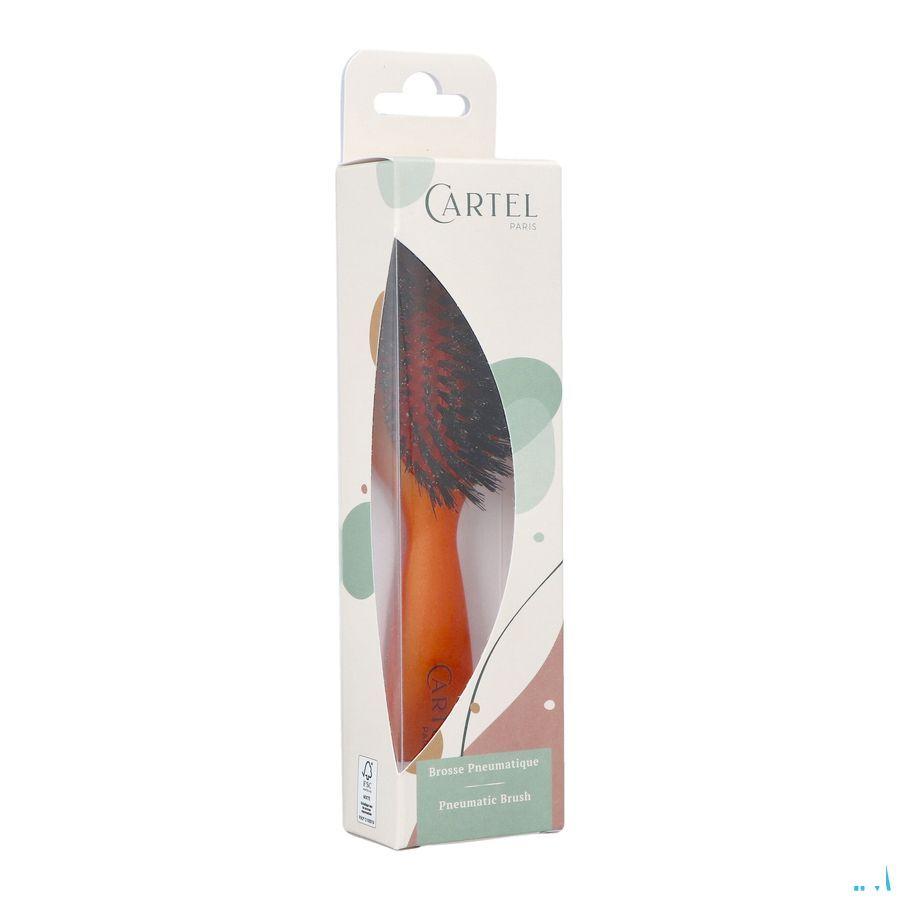 Cartel Brosse Pneumatique 100% Sangl.Sac Couleur  -  Vitry