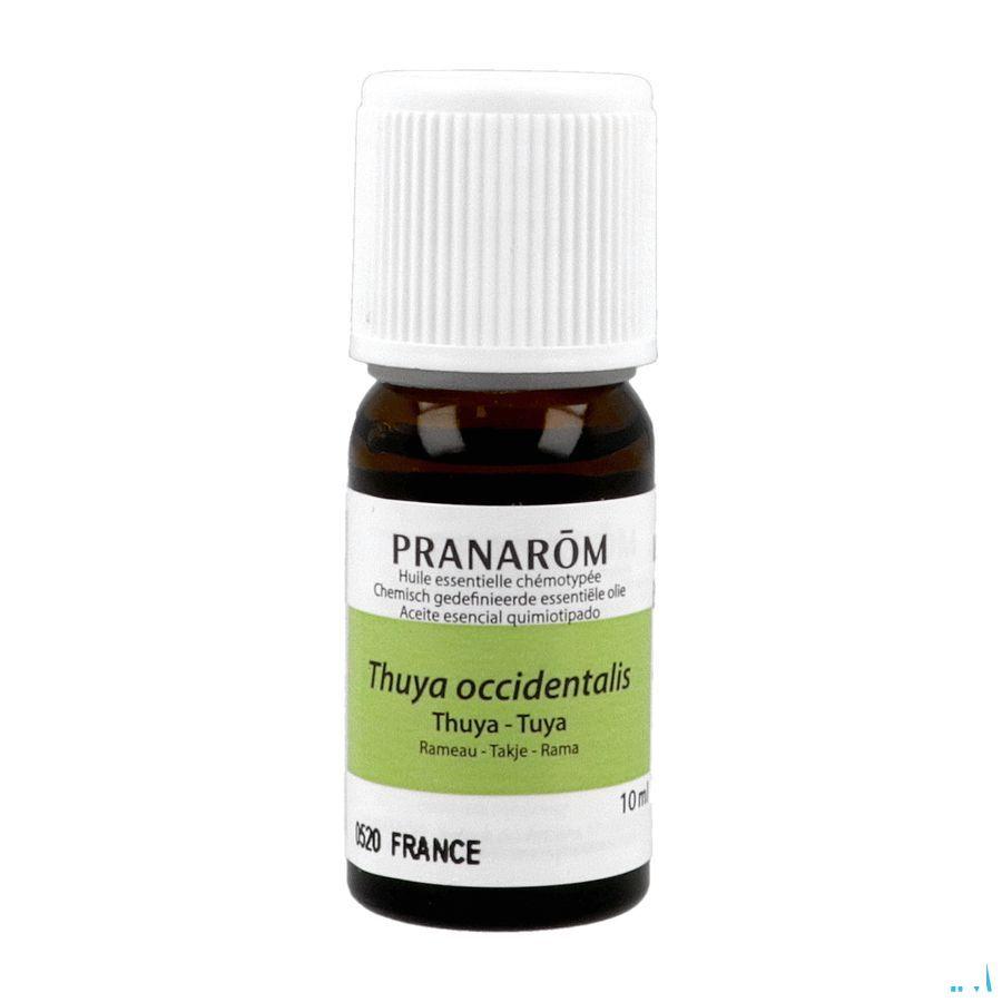 Thuya Huile Essentielle 10 ml  -  Pranarom