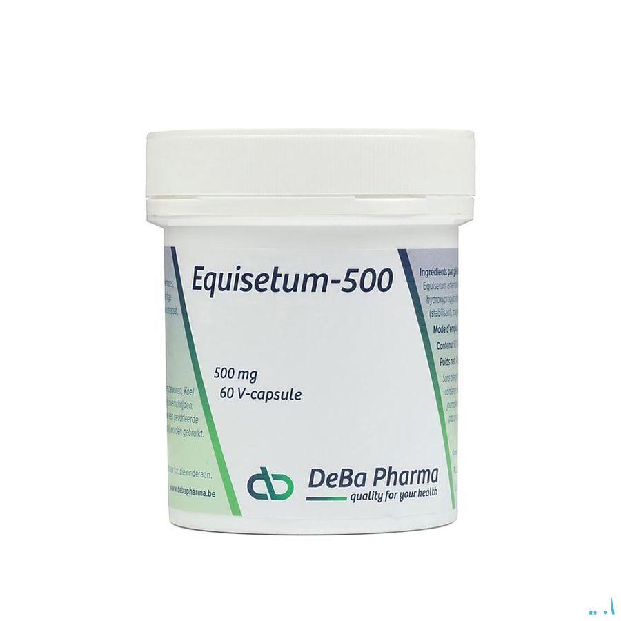 Equisetum Capsule 60x500 mg  -  Deba Pharma