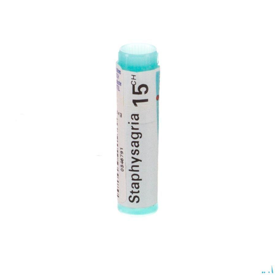 Staphysagria 15CH Gl  -  Boiron