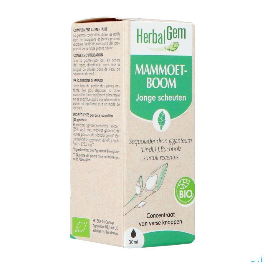 Herbalgem Sequoia Bio 30 ml