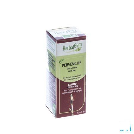 Herbalgem Maagdenpalm Maceraat 15 ml  -  Herbalgem