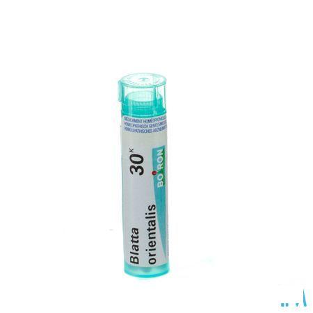 Blatta Orientalis 30K Gr 4g  -  Boiron