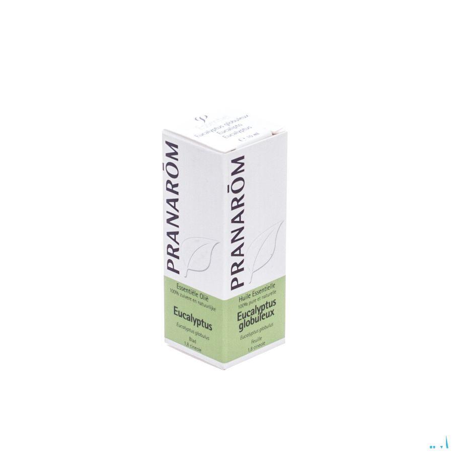 Eucalyptus Globuleux Huile Essentielle 10 ml  -  Pranarom