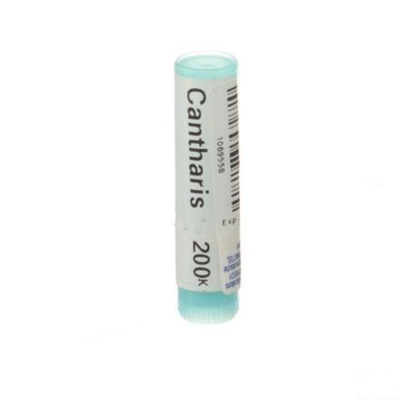 Cantharis 200K Gl  -  Boiron