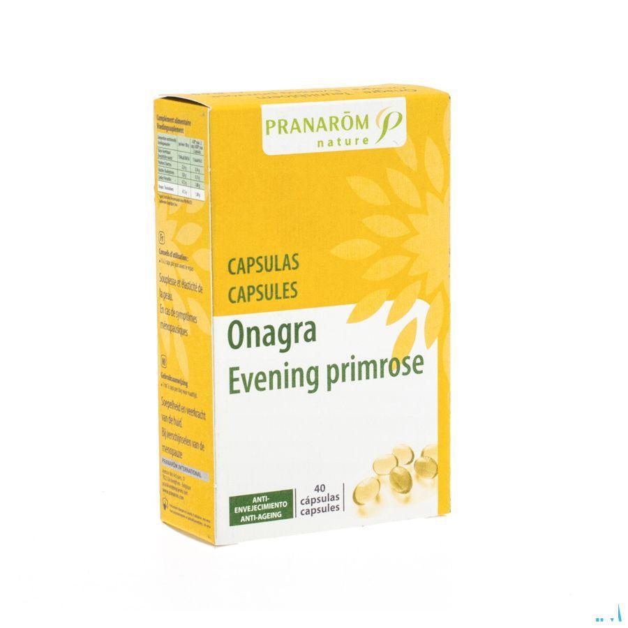Teunisbloem Capsule 40  -  Pranarom