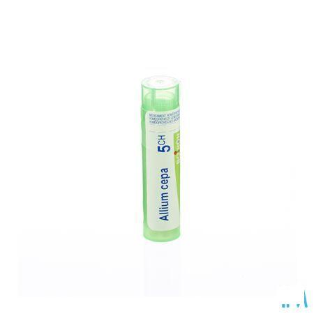 Allium Cepa 5CH Gr 4g  -  Boiron