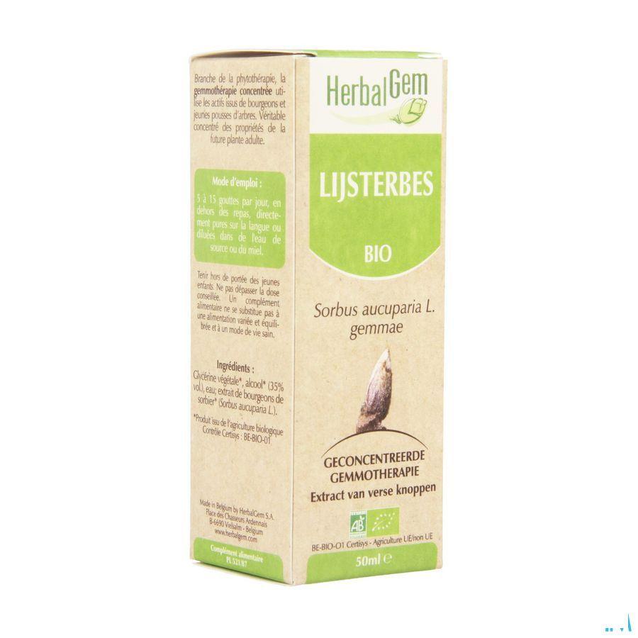 Herbalgem Lijsterbes Maceraat 50 ml  -  Herbalgem