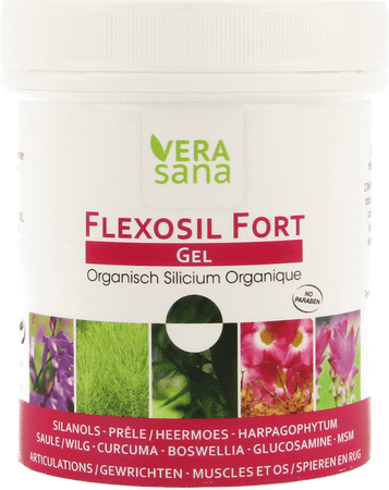 Flexosil Fort Gel 200 ml
