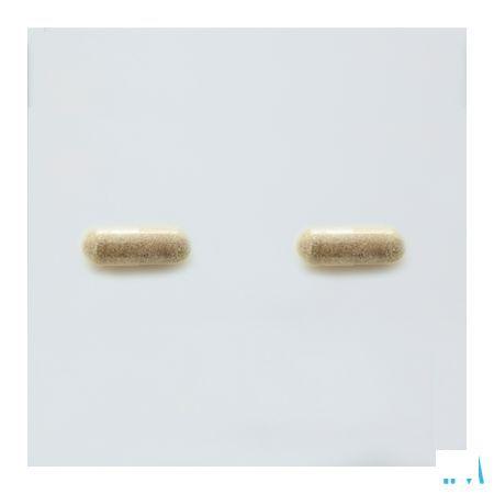 Probactiol Plus Blister Capsule 30  -  Metagenics