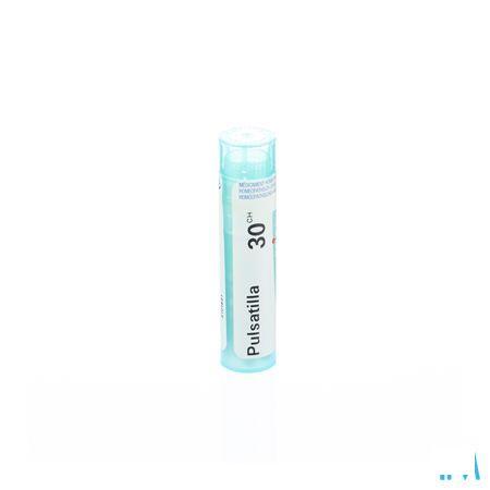Pulsatilla 30CH Gr 4g  -  Boiron