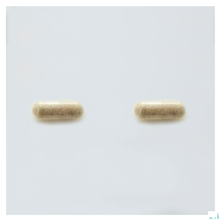 Probactiol Plus Blister Caps 60 Metagenics