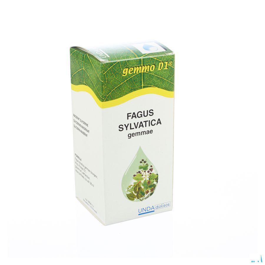 Fagus Sylvatica Gemmo D1 125 ml  -  Boiron
