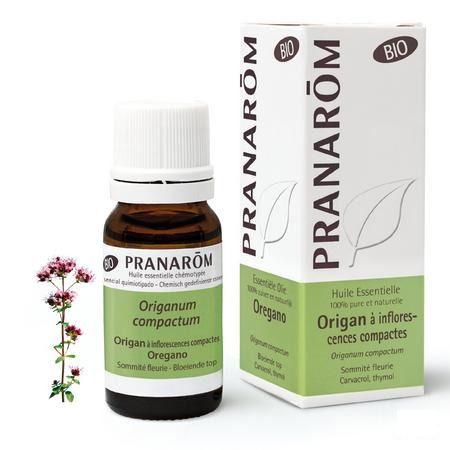 Oregano Inflor. Bio Essentiele Olie 10 ml  -  Pranarom