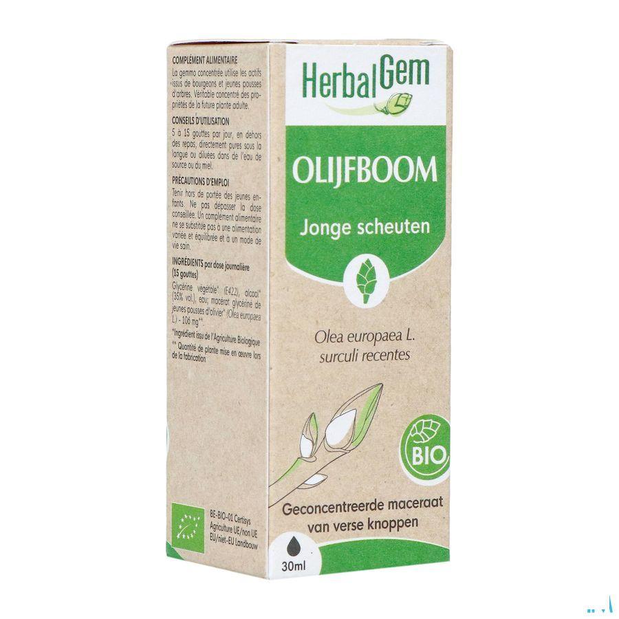 Herbalgem Olijfboom Bio 30 ml