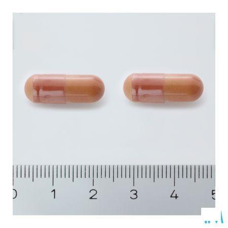 Alline Procap Capsule 180  -  Trenker
