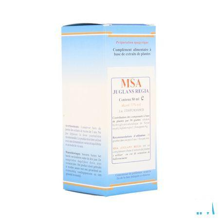 Juglans Regia Msa Maceraat Druppels 50 ml  -  Herboplanet