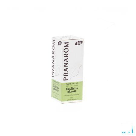 Gaultherie Odorante Bio Essentiele Olie 10 ml  -  Pranarom