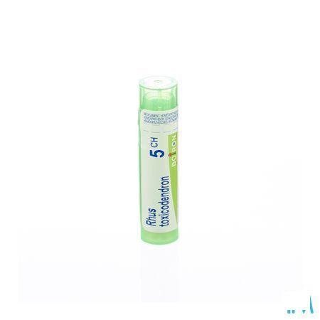 Rhus Toxicodendron 5CH Gr 4g  -  Boiron