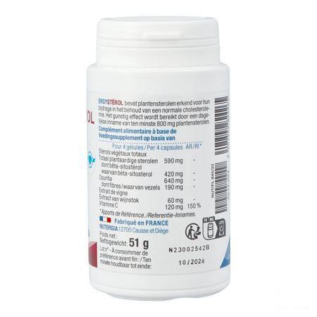 Ergysterol Pot Gel 100  -  Lab. Nutergia