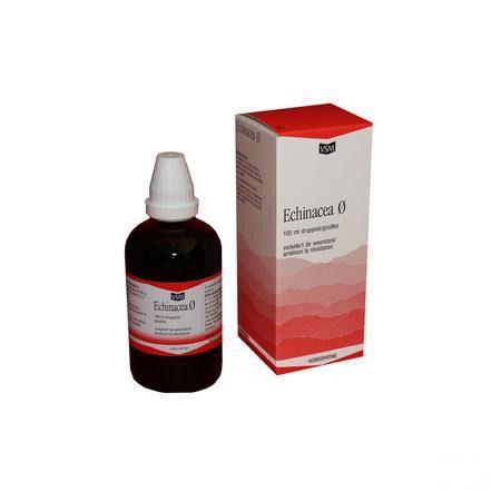 Echinacea Tm Vsm 100 ml  -  VSM