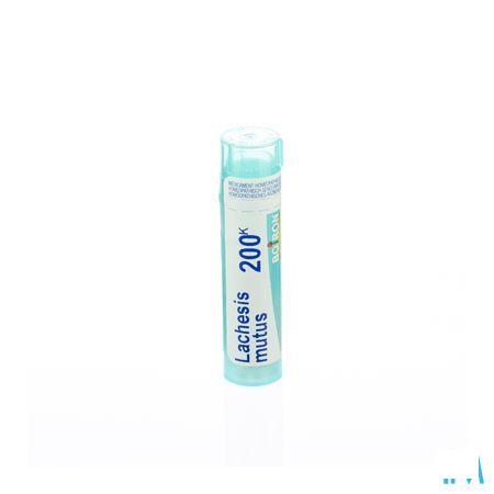 Lachesis Mutus 200K Gr 4g  -  Boiron