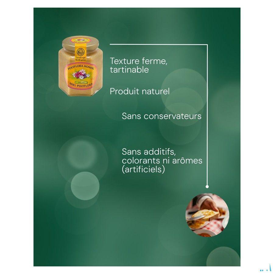 Melapi Miel Polyflora Tendre 500 gr 5531  -  Revogan