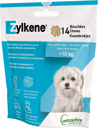 Zylkene Kleine Honden 