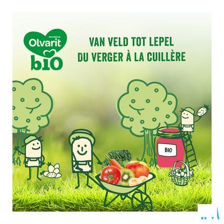 Olvarit Bio Appel Aardbei 6M 2X200G  -  Nutricia