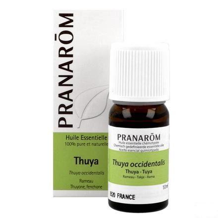 Thuya Huile Essentielle 10 ml  -  Pranarom