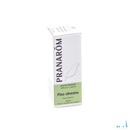 Pin Sylvestre Huile Essentielle 10 ml  -  Pranarom