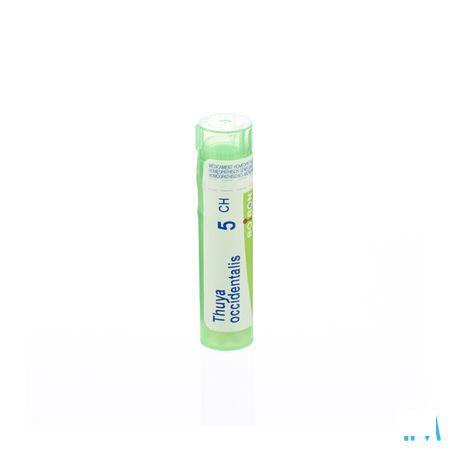 Thuya Occidentalis 5CH Gr 4g  -  Boiron