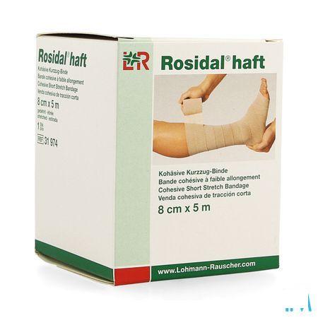 Rosidal Haft Cohesieve Windel 8cmx5m 1 31974  -  Lohmann & Rauscher