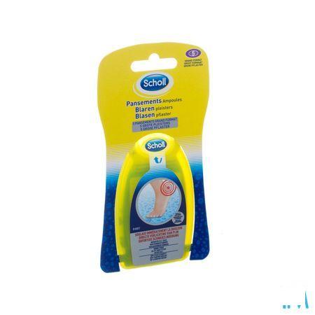 Scholl Blarenpleister Groot 5