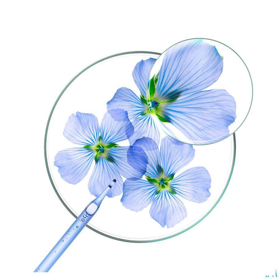 Klorane Capilaire Balsem Vlas 400 ml