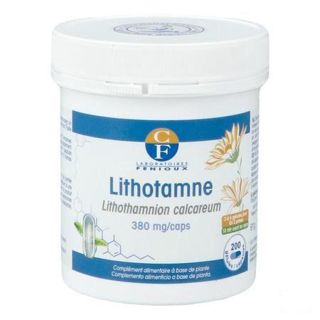 Lithotame Capsule 200  -  Fenioux