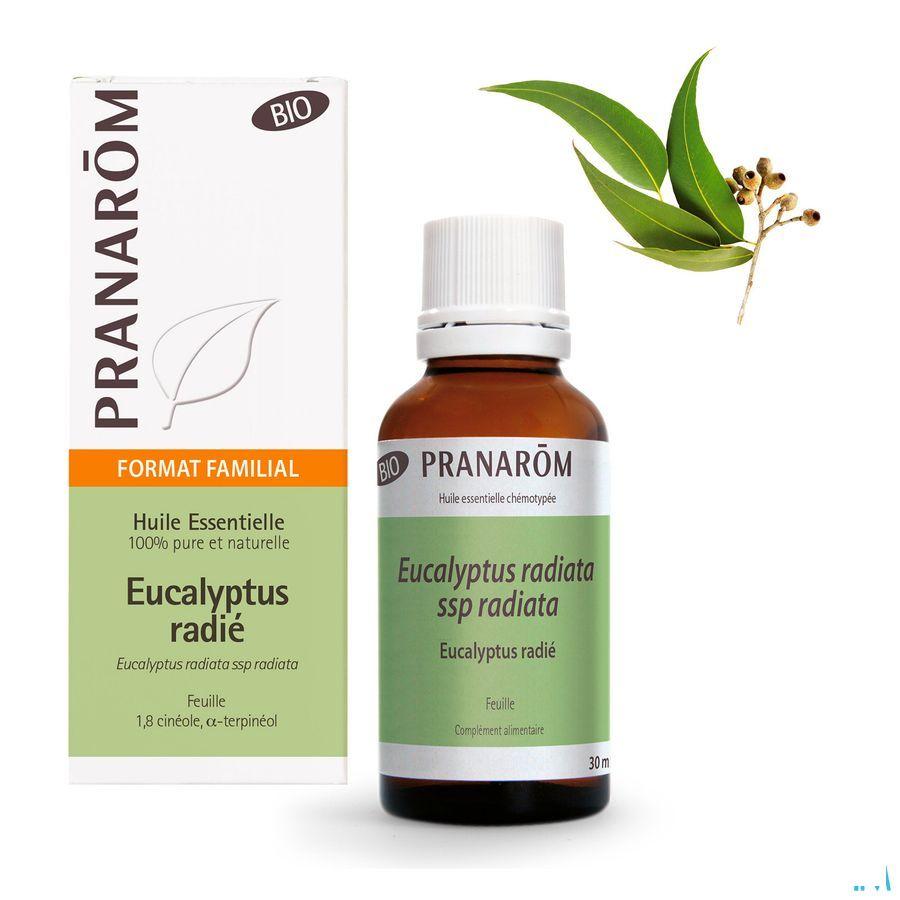 Eucalyptus Radiata Huile Essentielle 30 ml  -  Pranarom