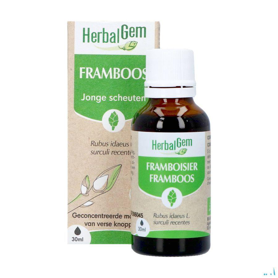 Herbalgem Frambois Bio 30 ml