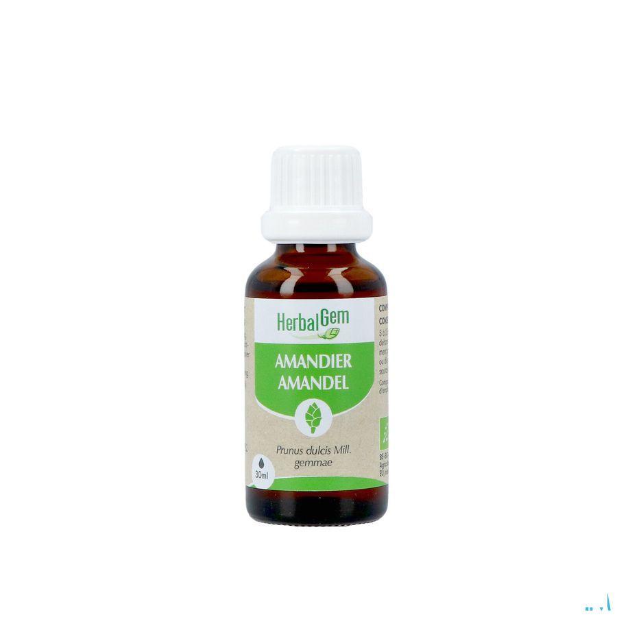 Herbalgem Amande Do Bio 30 ml