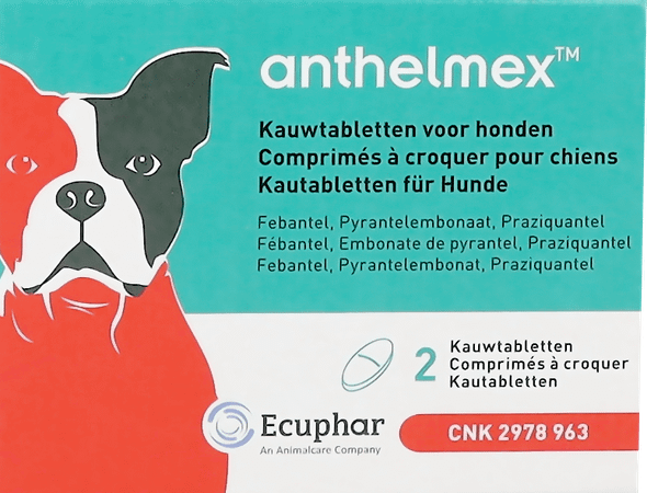 Anthelmex Comprimes à Croquer Chien 2  -  Ecuphar