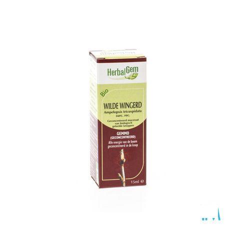 Herbalgem Wilde Wingerd Maceraat 15 ml  -  Herbalgem