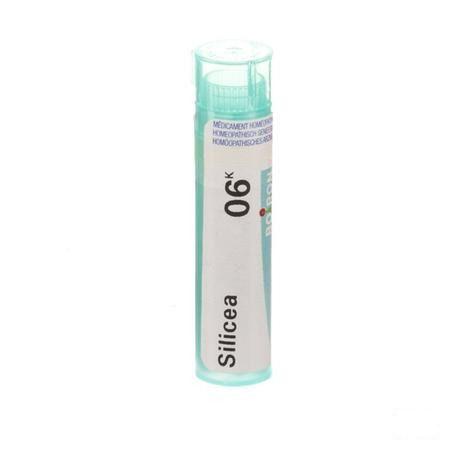 Silicea 6k Gr 4g  -  Boiron