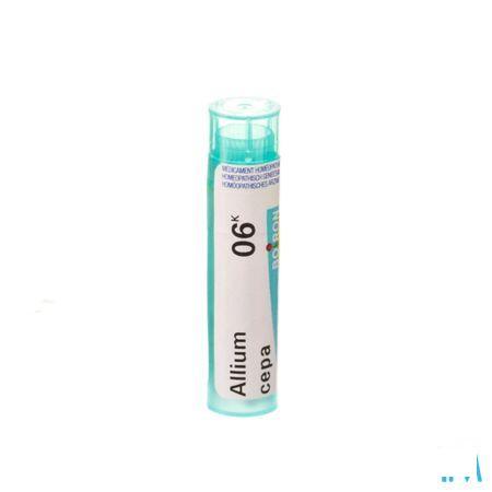 Allium Cepa 6k Gr 4g  -  Boiron