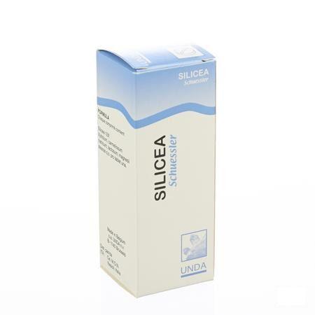 Schuessler N Xii Silicea 100  -  Boiron